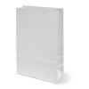 Пакет бумажный двухслойный 210х105х60мм прямоугольное дно белый