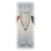 Бокал для шампанского (флюте) 180мл DIAMANTE BORMIOLI LUIGI 01060501