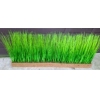 Трава для декора L 100см W 13см H 40  см Зеленый Полюс Осока-6